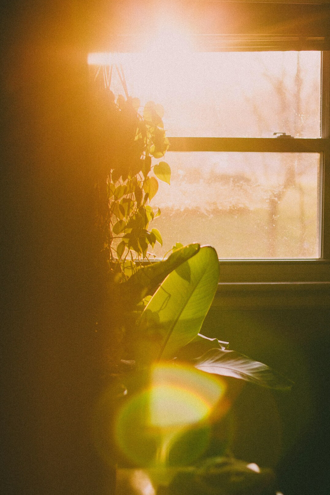 natural light through window